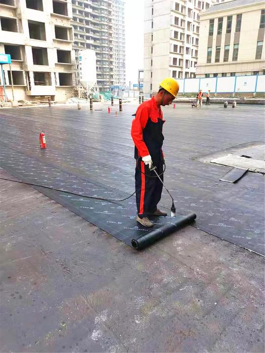 微信图片_20200102142449.jpg